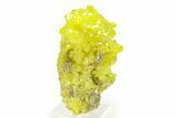 Bright-Yellow Sulfur Crystals - Bolivia #322541-1